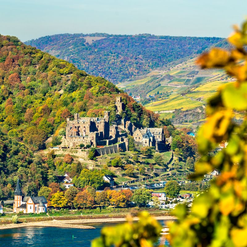 En route to Rüdesheim, sail through the Rhine Gorge (a UNESCO World Heritage site). Take in the breathtaking views of ancient castles perched on cliffs and pass the legendary Rock of the Lorelei — where the mythological siren’s songs lured ill-fated sailors.