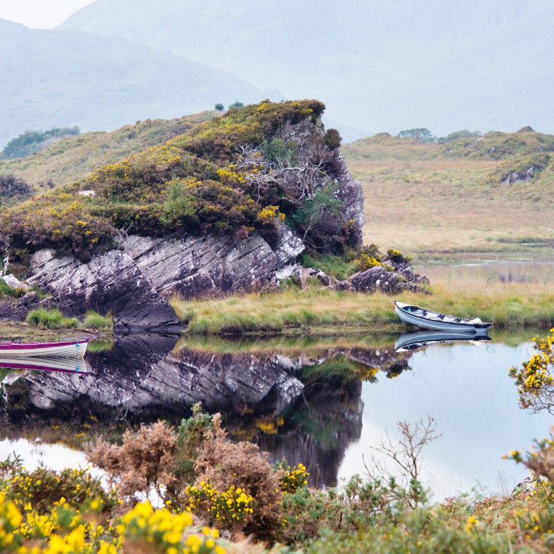 During your Highlights of Ireland tour with Red Orchid Travel, you will explore the nearby national park while staying in Killarney.