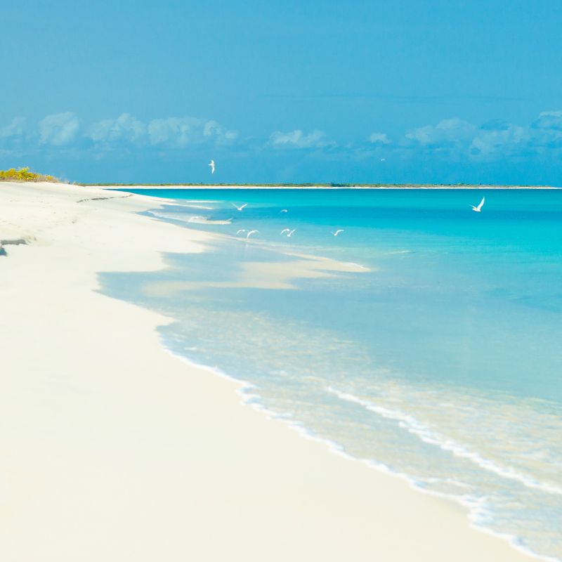 River Bay, a hidden gem on the pristine island of Barbuda, is a natural paradise that encapsulates the Caribbean's unspoiled beauty.