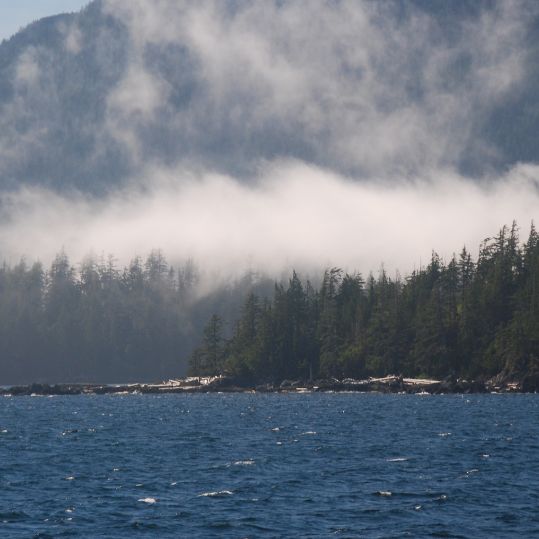 Misty Fjords in Ketchikan