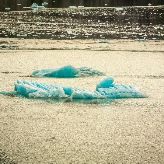 This narrow fjord is located approximately 50 miles southeast of Juneau and is part of the Tracy Arm-Fords Terror Wilderness area.