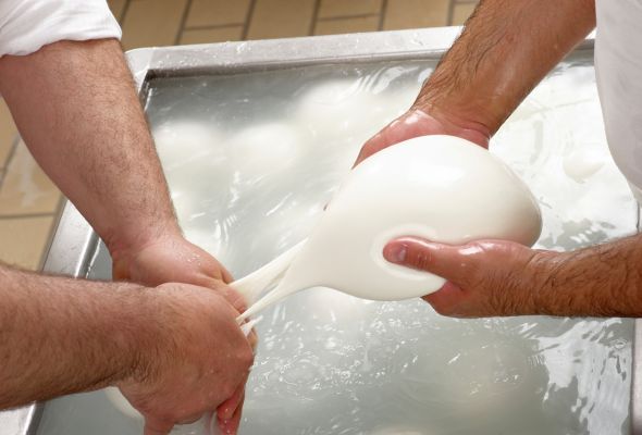 This morning, discover one of Italy’s delectable cheese products during a visit to a dairy farm. Taste freshly made mozzarella for lunch before continuing south to Matera, whose inimitable scenery has been featured in blockbuster films.
