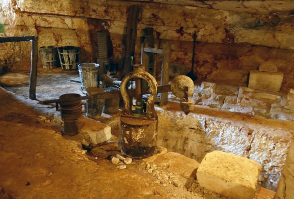 Today, take a tour of an olive oil mill and taste a variety of extra virgin olive oils. Back in Alberobello, enjoy free time to further explore the city on your own. As the day draws to a close, gather to wish Italy goodbye at a farewell dinner.